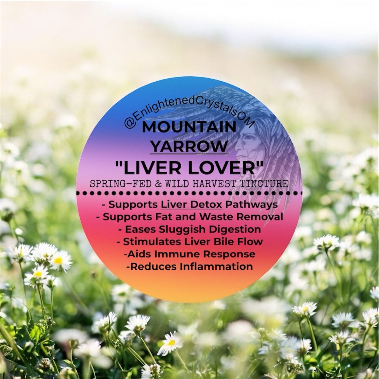 Yarrow Tincture (Liver Aid)