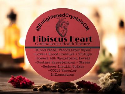 Hibiscus Tincture (Cardiovascular)