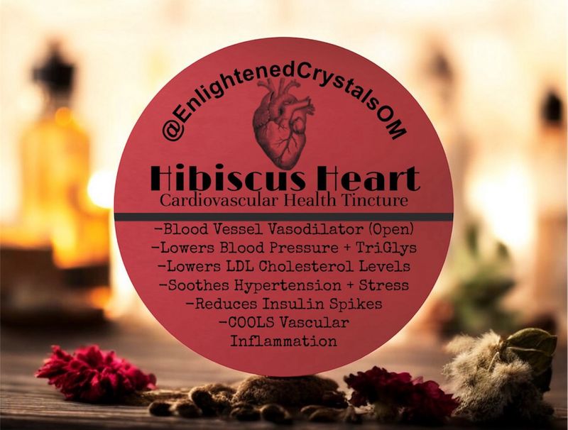 Hibiscus Tincture (Cardiovascular)