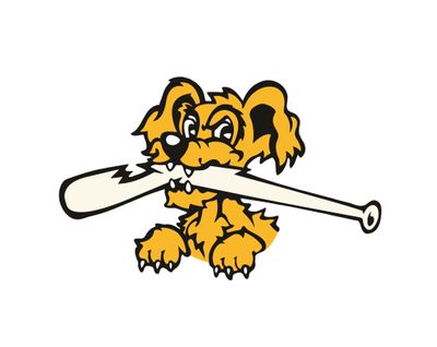 York Baseball