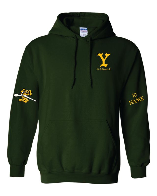 York Baseball - hoodie