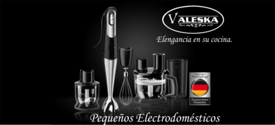 PEQUEÑOS ELECTRODOMÉSTICOS