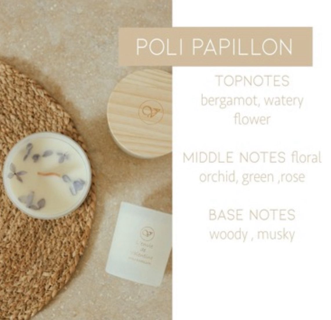Poli Papillon
