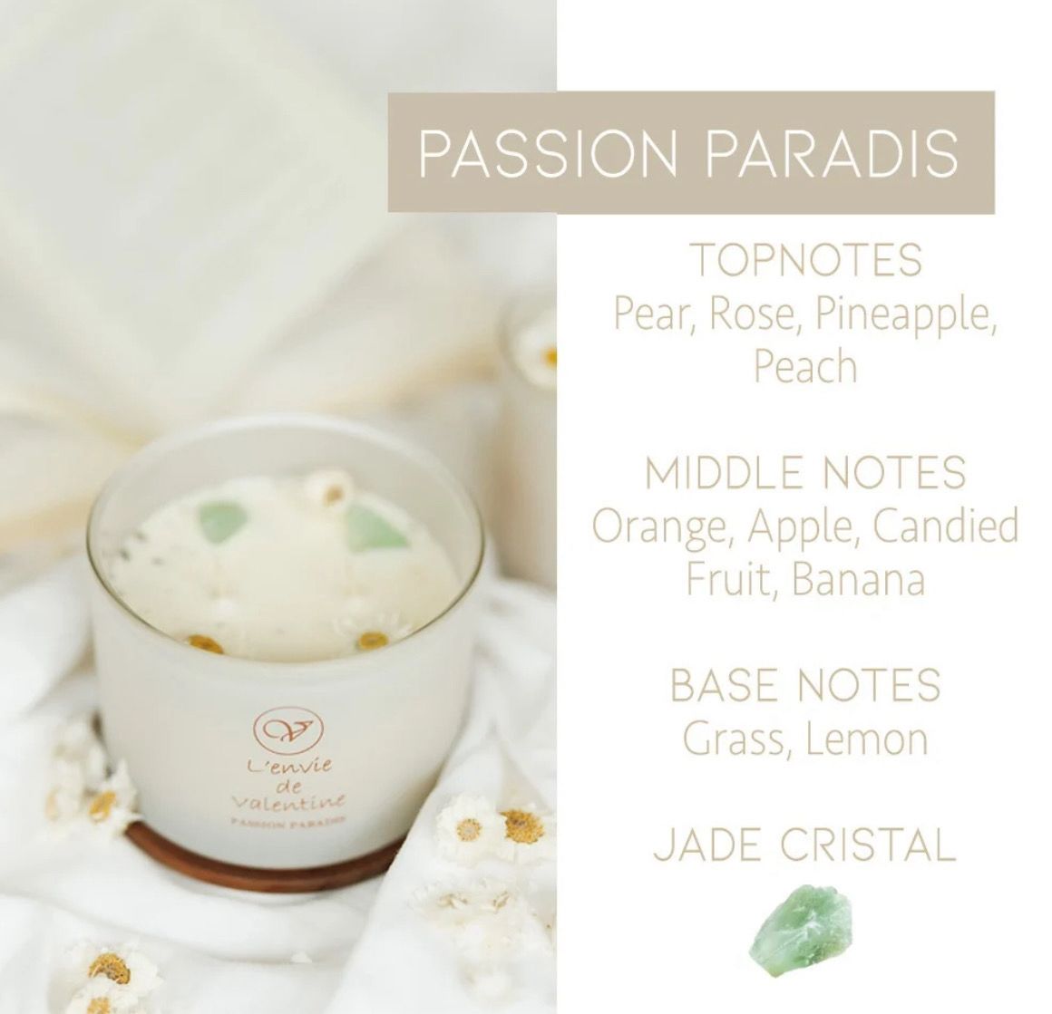 Passion Paradis