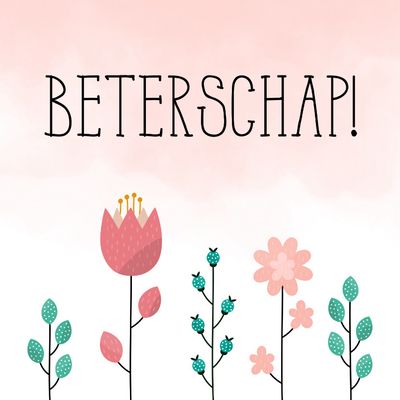 Beterschap