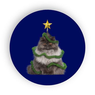 potonderzetter kat