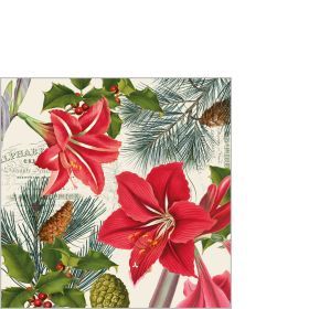 Amaryllis sur beige 25x25