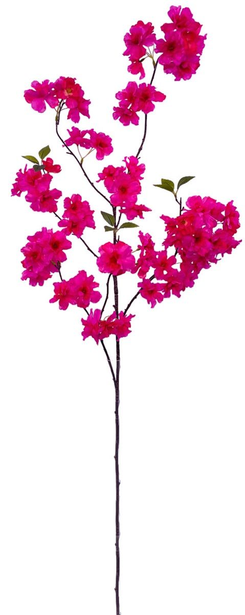 Kersenbloesem tak fuchsia