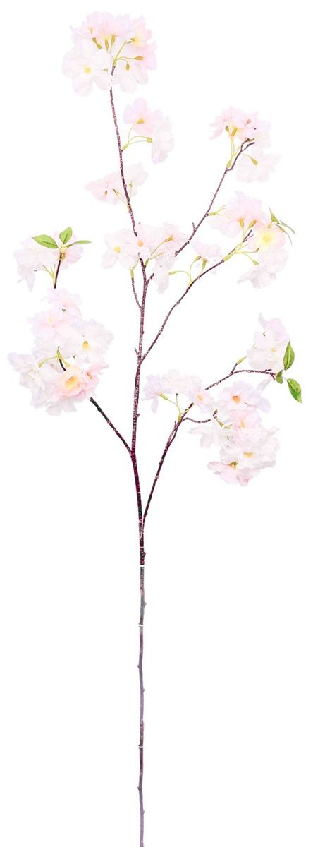 Kersenbloesem tak roze