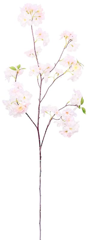 Kersenbloesem tak roze