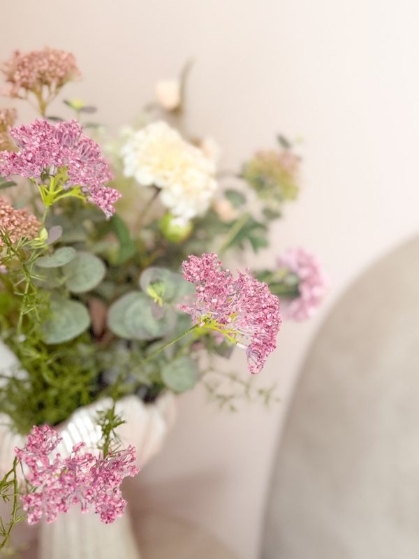 Cnidium tak Cnidium tak