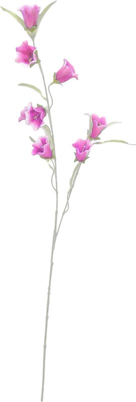 Campanula bloem paars 81cm Campanula bloem paars 81cm