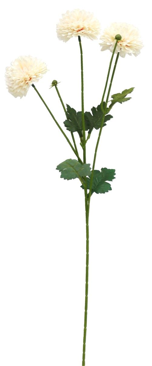 3 hoofds chrysantium h 52cm