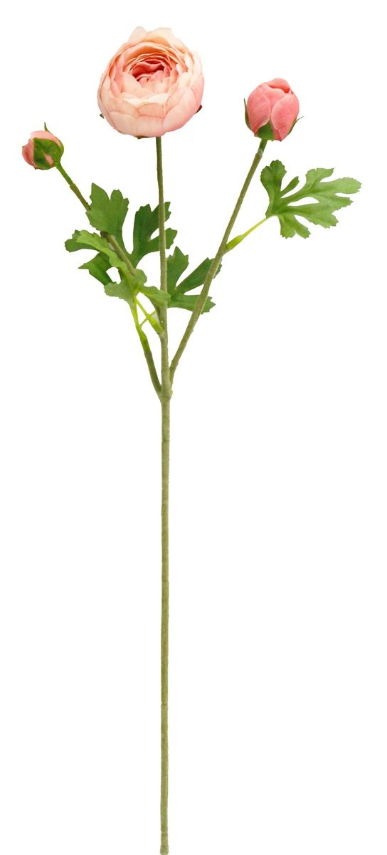 3 hoofds real touch Ranunculus H51cm
