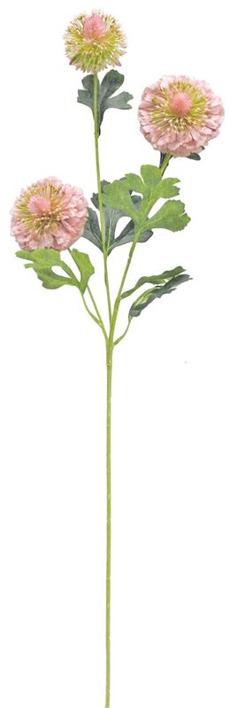 3 hoofd duifkruid oud roze 77cm 3 hoofd duifkruid oud roze 77cm