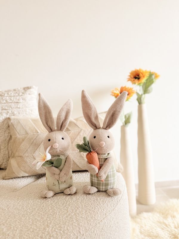 Konijn met wortel (man) Konijn met wortel (man)