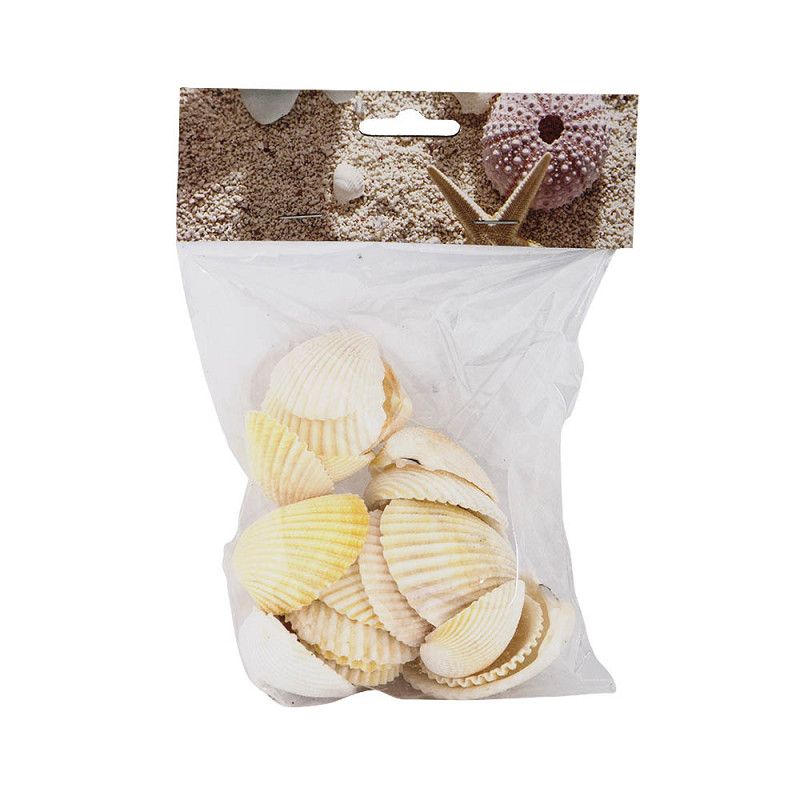 Decoschelp coquille L Decoschelp coquille L