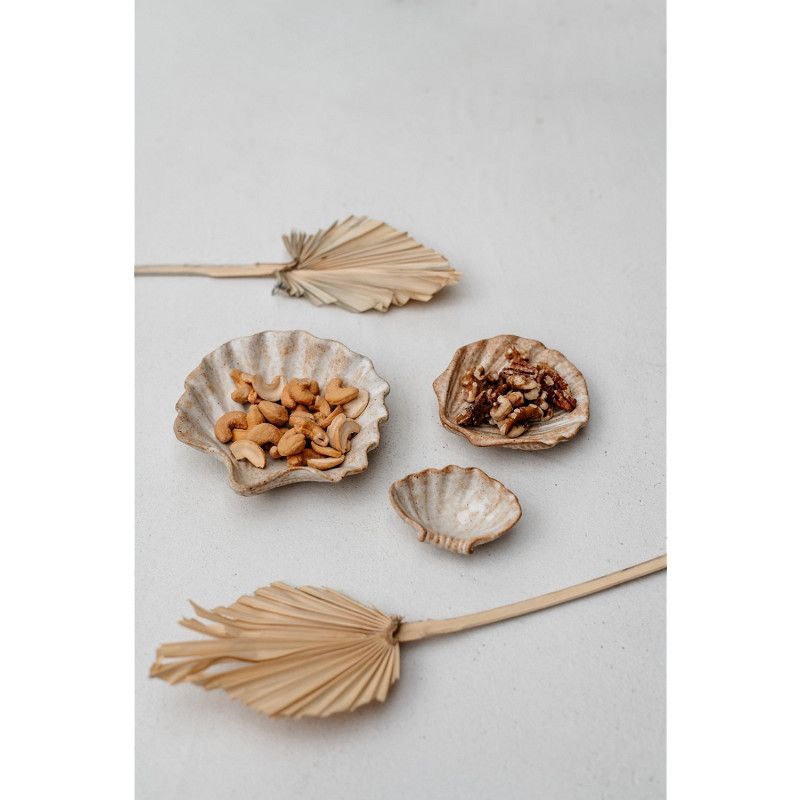 Schaal shell Cala set van 3