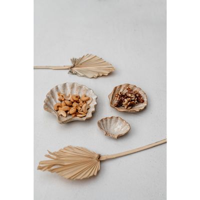 Schaal shell Cala set van 3