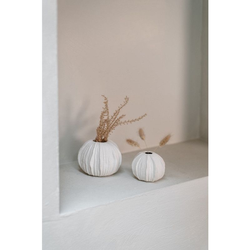 Vaas Sea Urchin L