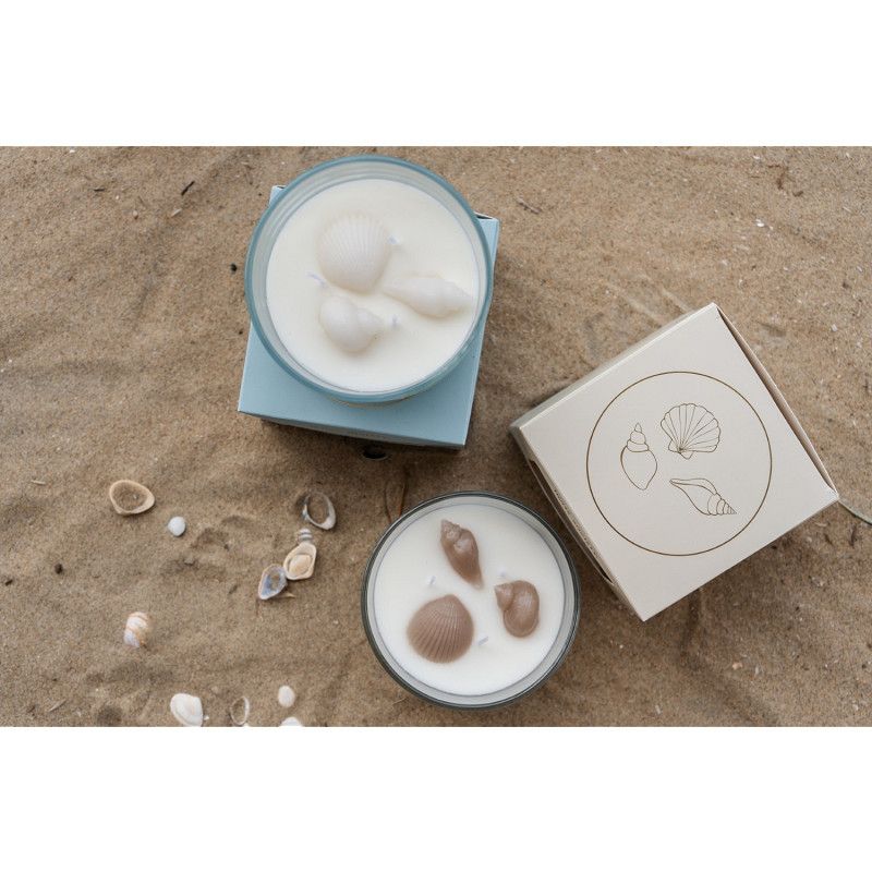 Sea shell candle