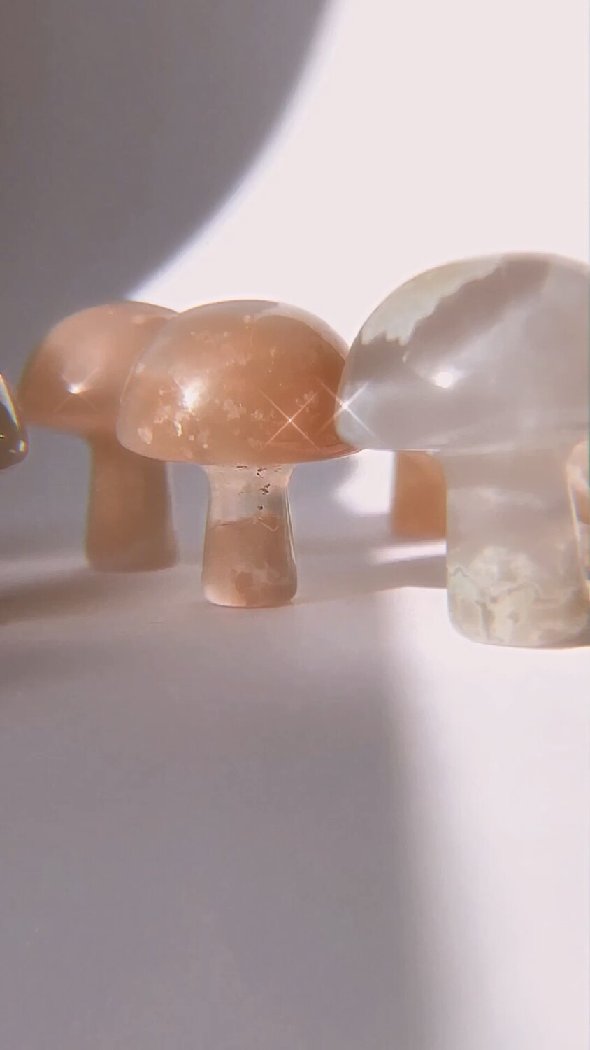 Flower Agate Mushroom