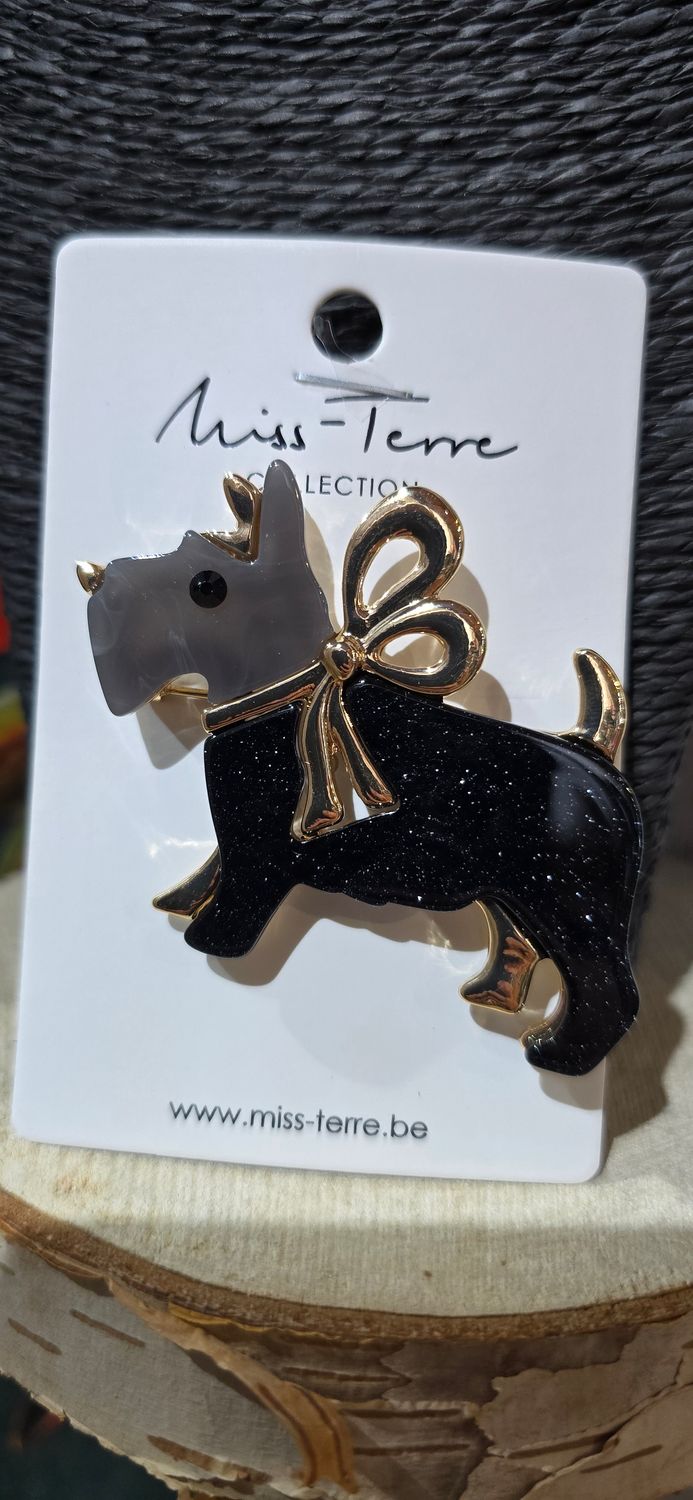 ACCES BROCHE