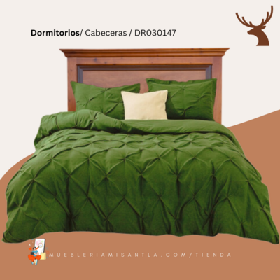 CABECERA  ELY