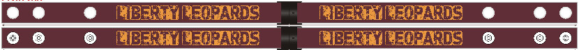 Lanyards w/ Mask Clips