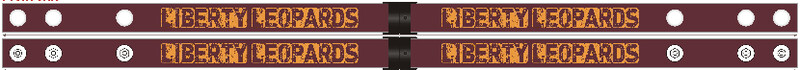 Lanyards w/ Mask Clips