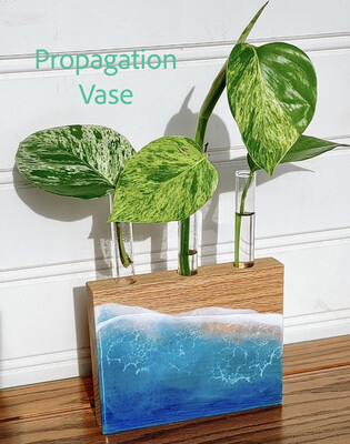 Home Decor &amp; Entertaining