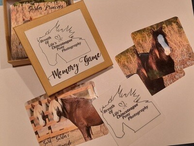Pony Memory Game