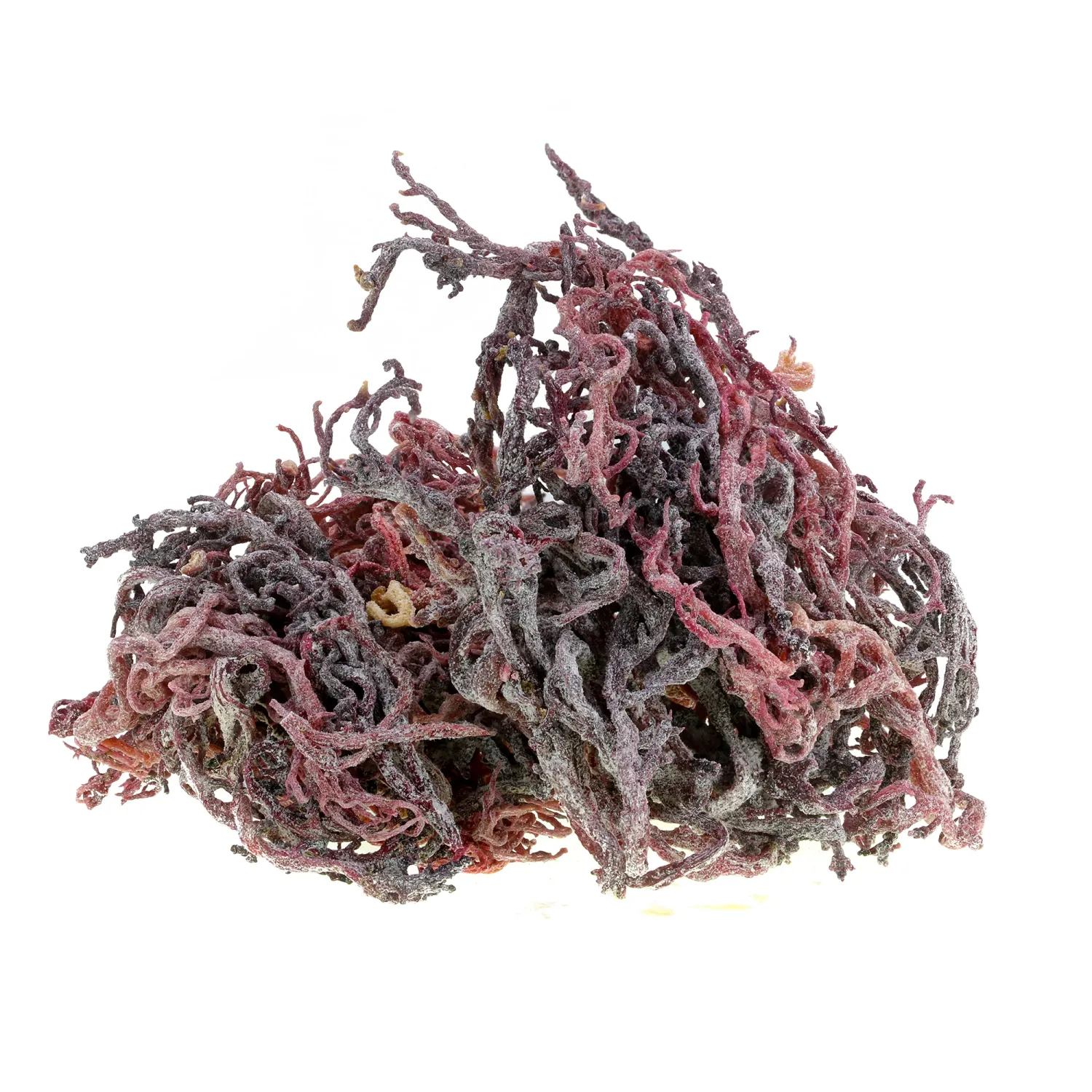 Purple Sea Moss | Wildcrafted - 100% Authentic &amp; Natural | 1 LB/Pound - 16oz (BUY 3 GET 1 FREE)
