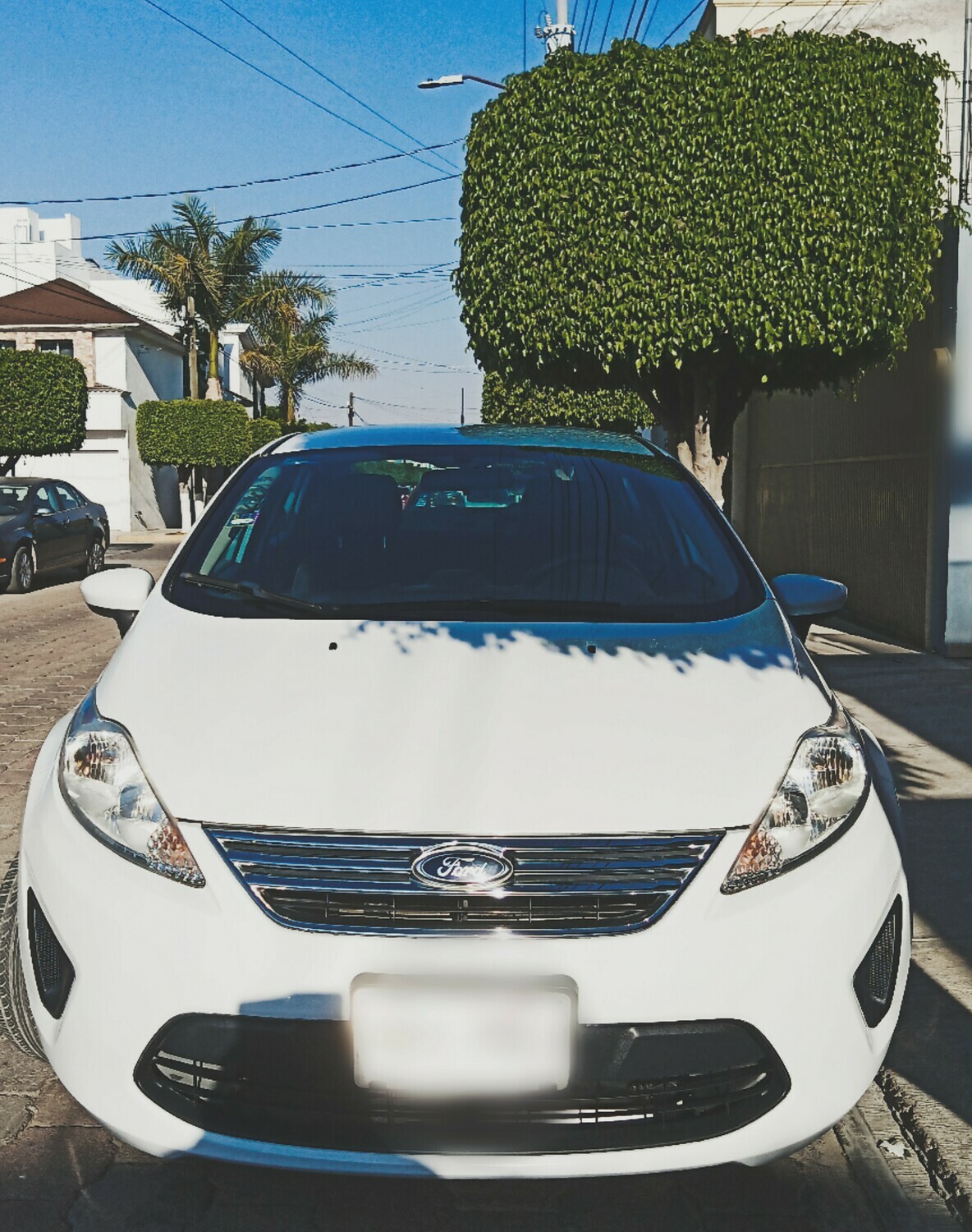 FIESTA AUTOMATICO 2013