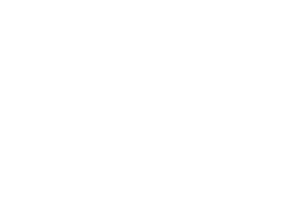 Zamani Skateboards