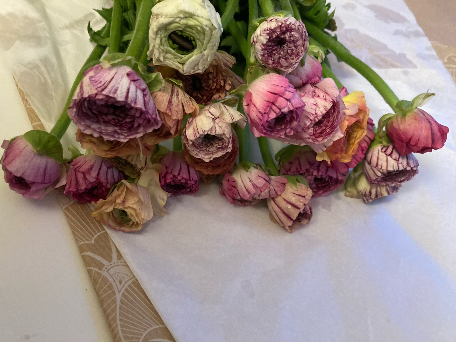 The Ranunculus Box (Striped) The Ranunculus Box (Striped)