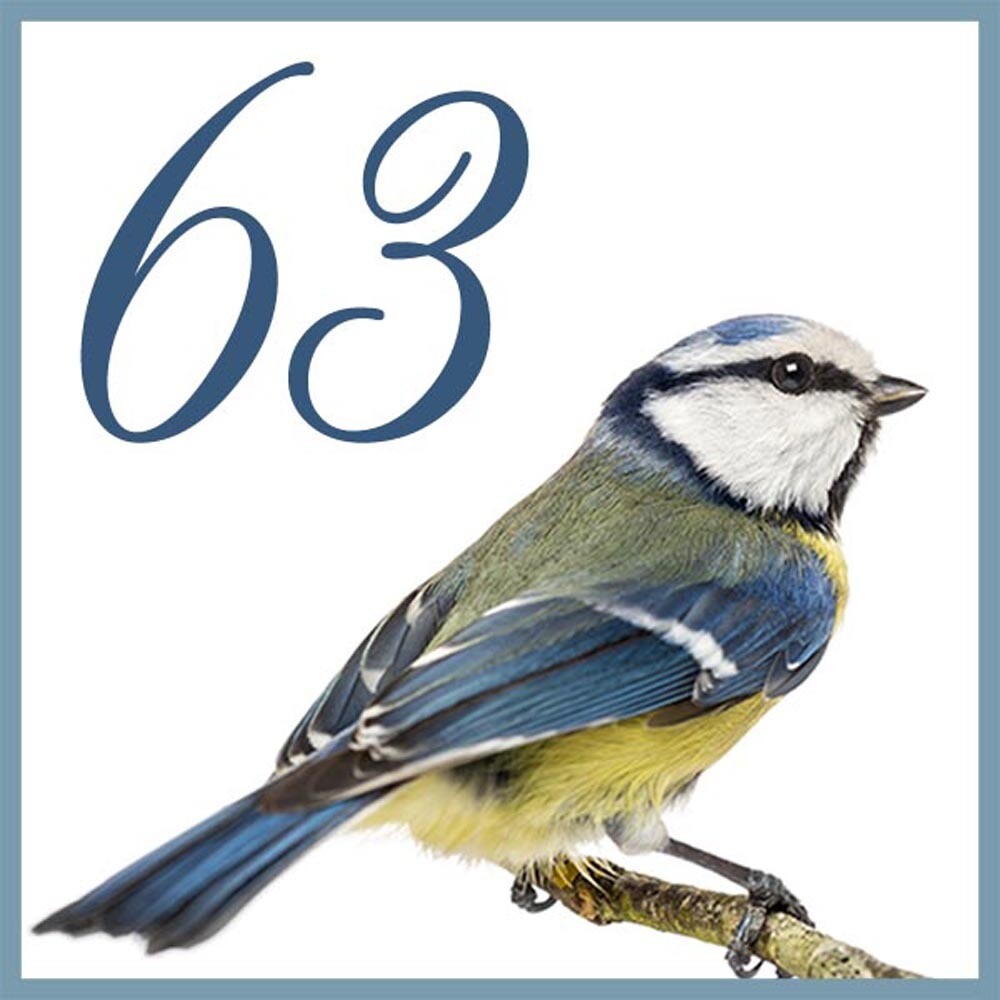 NUMERO CIVICO IN CERAMICA 15X15 cm.
grafica animali unico al mondo idea regalo