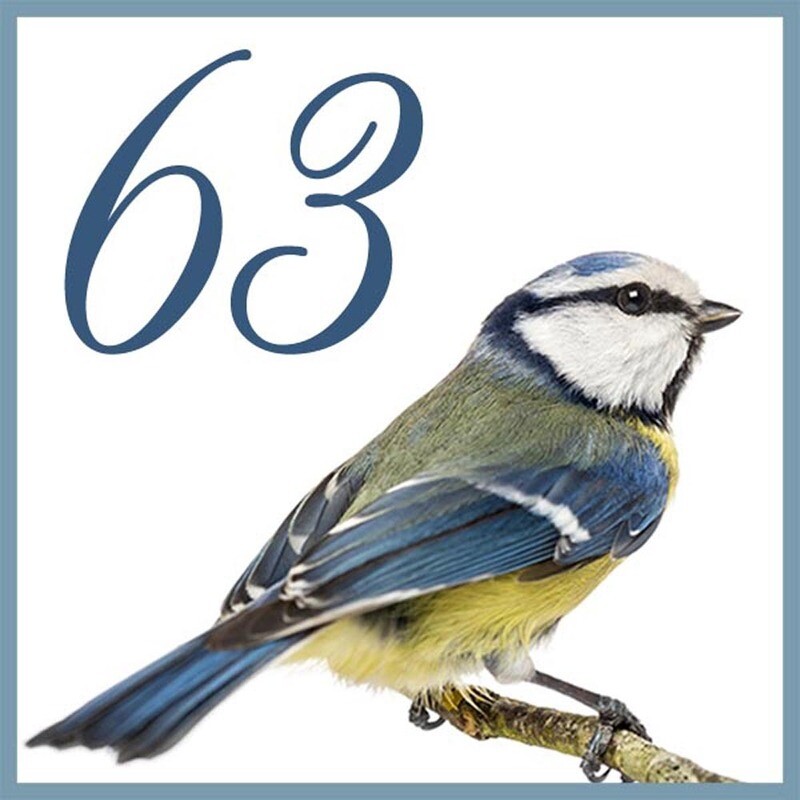 NUMERO CIVICO IN CERAMICA 15X15 cm.
grafica animali unico al mondo idea regalo