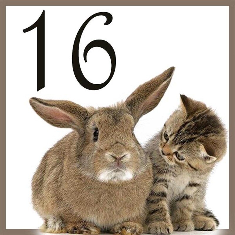 NUMERO CIVICO IN CERAMICA 15X15 cm.
grafica animali unico al mondo idea regalo