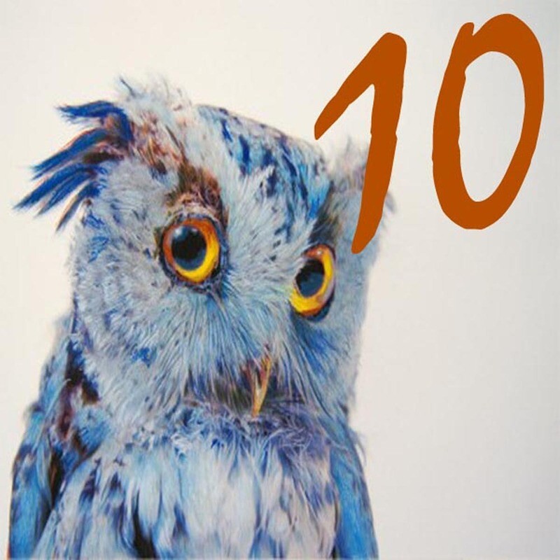 NUMERO CIVICO IN CERAMICA 15X15 cm.
grafica animali unico al mondo idea regalo