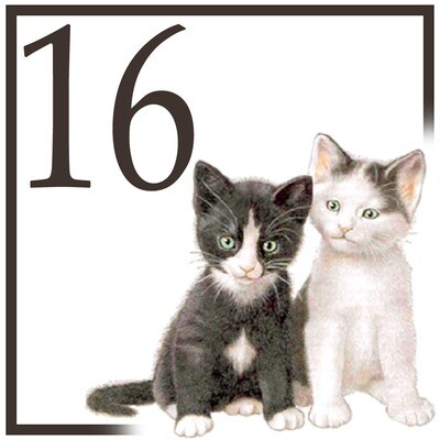 NUMERO CIVICO IN CERAMICA 15X15 cm.
grafica animali unico al mondo idea regalo