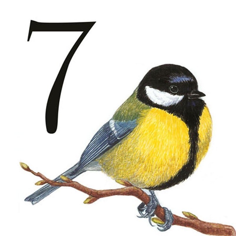 NUMERO CIVICO IN CERAMICA 15X15 cm.
grafica animali unico al mondo idea regalo