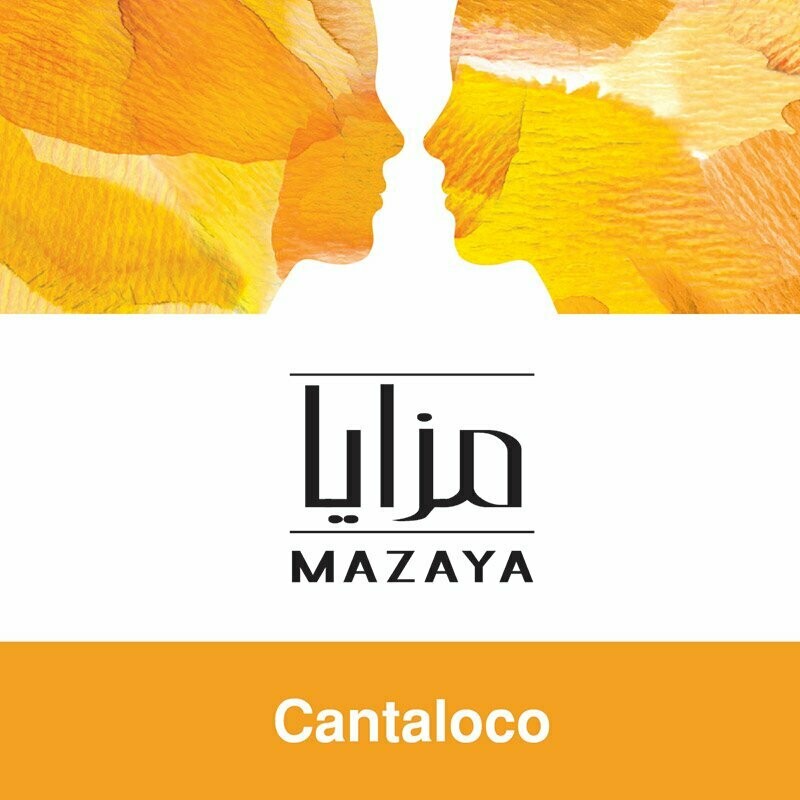 Mazaya - Cantaloco