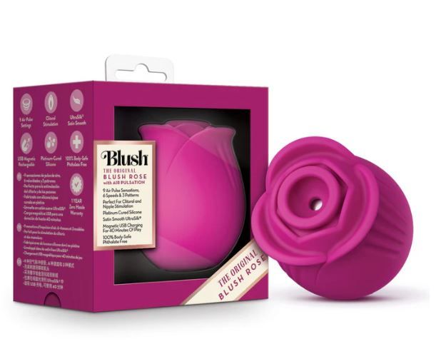 BLUSH Rose