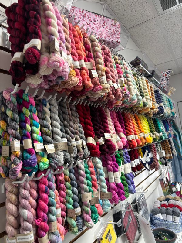 Crazy Beautiful Colorway Practically Perfect Smalls