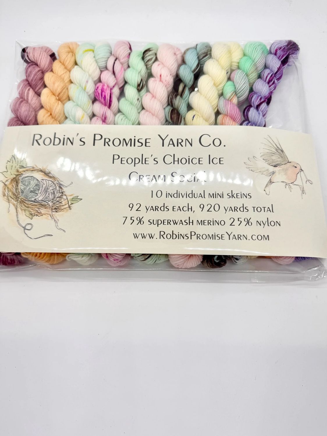 Robin’s Promise Mini Skein Kit, Theme: People’s Choice Ice Cream Social