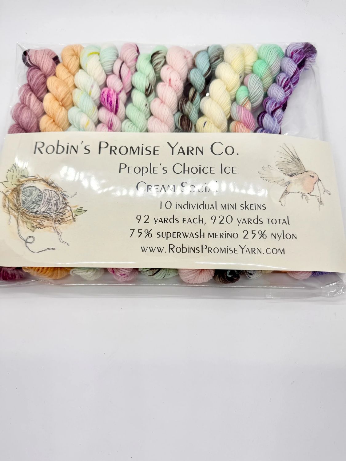 Robin’s Promise Mini Skein Kit, Theme: People’s Choice Ice Cream Social