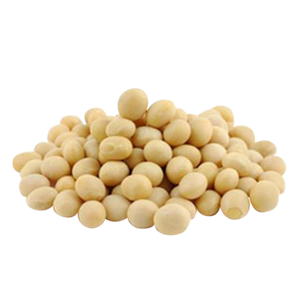 CANADA SOYA BEAN 加拿大黄豆