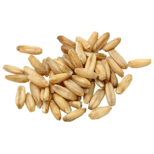 BEAN CORN WHEAT 麦粒