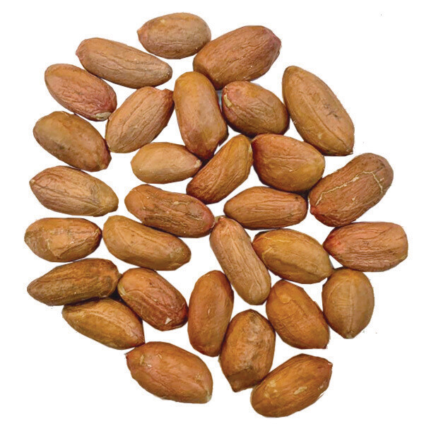 NUT SHANG DONG (SKIN) KACANG SHAN DONG 有衣山东花生